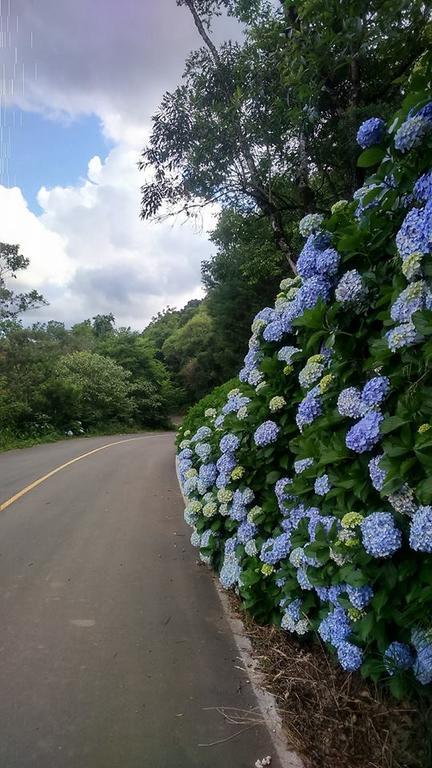 Caminho Das Colinas Gramado Esterno foto